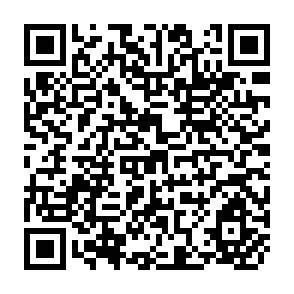 QR Code for World Development Report 1981