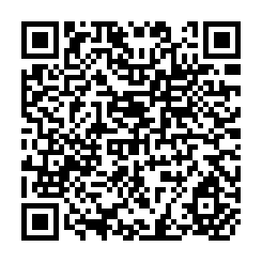 QR Code for The Fire Next Time