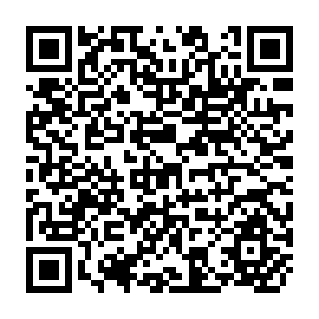 QR Code for A User's Introduction to the Dairy Market Policy Simulator(Damps)