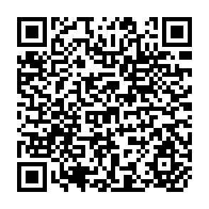 QR Code for The Dialectics of class and state Formaton and of Development Policy in Papua New Guinea