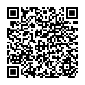 QR Code for The State of the Environment 1978
