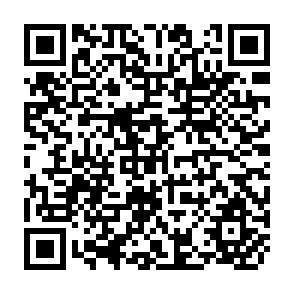 QR Code for Yield Risk, Risk Aversion, And Genotyype Selection: Conceptual Issues And Approaches