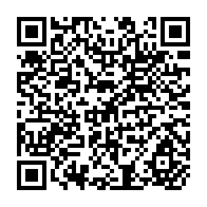 QR Code for Population Mobility and Develpoment