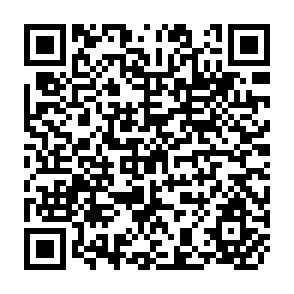 QR Code for People and Plans