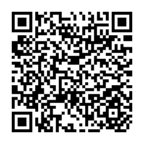 QR Code for Estimates of the Revenue and Expenditure of the Government of the Democratic Socialist Republic of Sri Lanka for the Financial year, 1st January,1982 to 31st of December, 1982