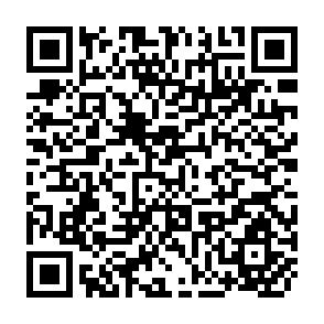 QR Code for Computer-Based Conferencing Systems for Developing Countries