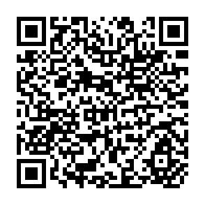 QR Code for the Lords of Human Kind