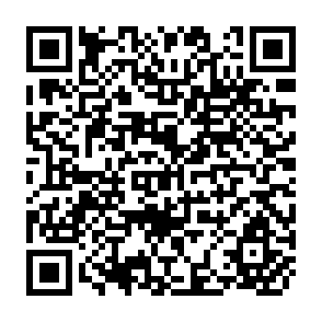 QR Code for The need for regionalized agricultural development planning: Experiences from western visayas, Philippines