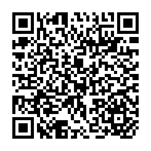 QR Code for The Value Of Children A Cross-National Study