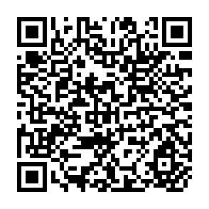 QR Code for How To Write Your Term Paper