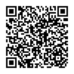 QR Code for Essays in Sociology and social philosophy