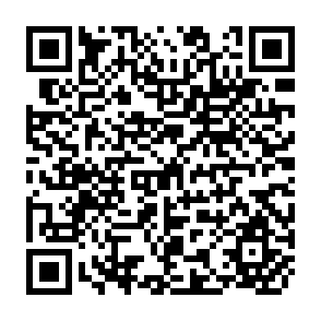 QR Code for Landforms in the Rice-Growing Areas of the Cagayan River Basin