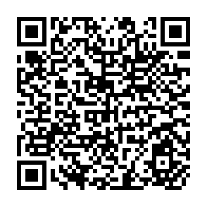 QR Code for Statistical System in Food and Agriculture