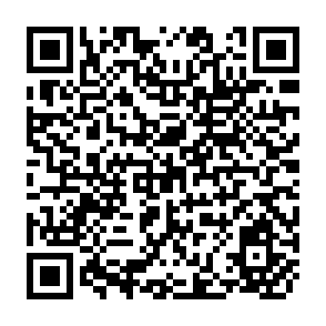 QR Code for World Conference on Agrarian Reform and Rural Development