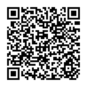 QR Code for Report of the Asian Inter-Country Consultation on the Follow-up to The World Conference  on Agrarian Reform and Rural Development