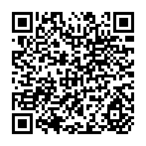 QR Code for Applying Efficiency Analysis to Small Farms in low income countries: some theoretical and empirical considerations