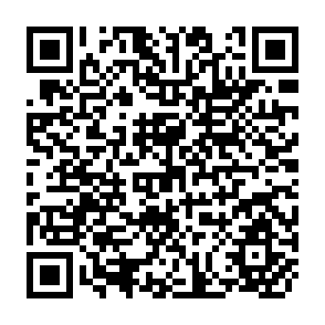 QR Code for Allowing For Machinery Replacement in Calculating Debt Repayment  Ability