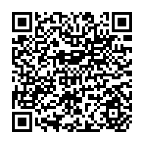 QR Code for Seeds of Plenty, Seeds of Want