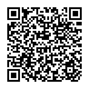 QR Code for A Study on the Nonrepayment of Agricultural Loans in the Philippines