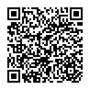 QR Code for The language of social research