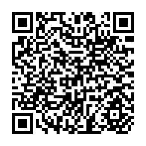 QR Code for Review of Income Distribution Data: Pakistan, India, Bangladesh and Sri Lanka