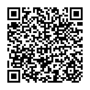 QR Code for Contractual Arrangements, Employment and Wages in Rural Labor Markets: A Critical Review