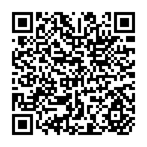 QR Code for Innovation: The Basis of Cultural Change