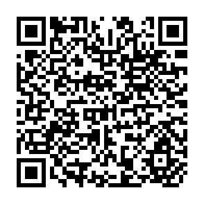QR Code for Agricultural Credit Schemes Under The Kurunegala Rural Development  Project: An Evaluation