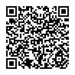 QR Code for Capitalism and Modern Social Theory