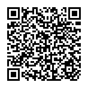 QR Code for A Handbook of Programmed Learning