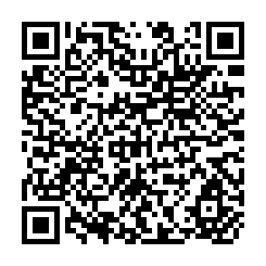 QR Code for Report of Post Harvest Losses Consultative Meeting Volume II