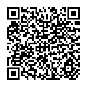 QR Code for Landless Workers and Farmers