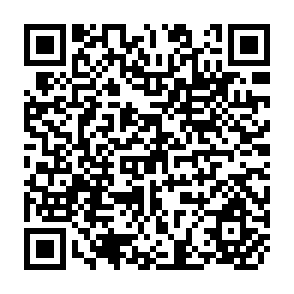 QR Code for Some Aspects of Japanese Investments in the Philippines