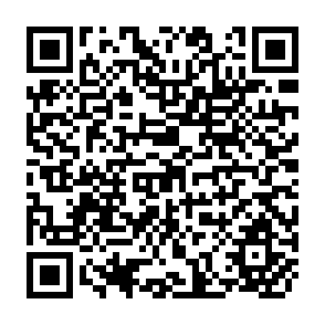QR Code for Analytical Papers