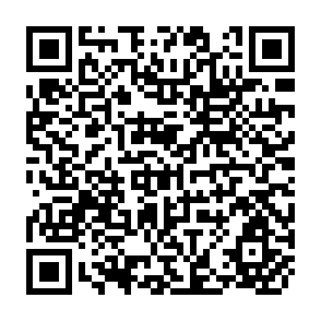QR Code for Analytical Papers