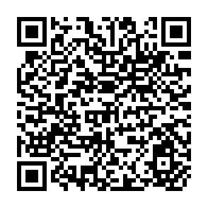 QR Code for Lexicographic consumer Theory