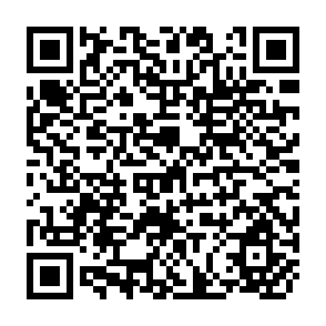 QR Code for The Corporate Income Tax: Its Distributive Implications on Individual Shareholers