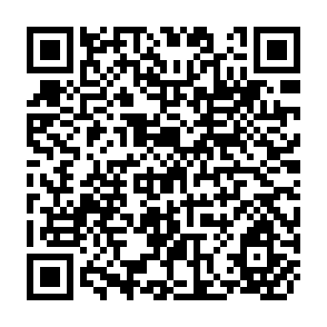 QR Code for Wheat in Human Nutrition