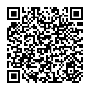 QR Code for Comparative Agricultural Modernization and Non Farm Employment