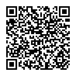 QR Code for The Development Contricution of Multinational Firms in the Philippins
