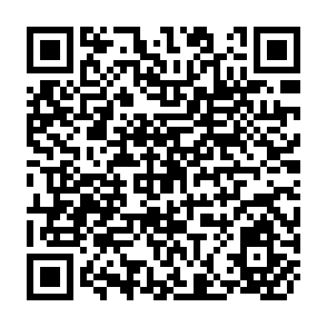 QR Code for Search for the Just Wage in Chinese Industry in Comparative Perspective