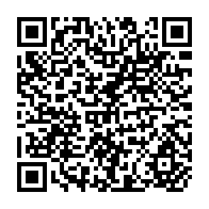 QR Code for Effect of Major Currency Realignmenton Philippine Trade Flows: A Quantitative Study