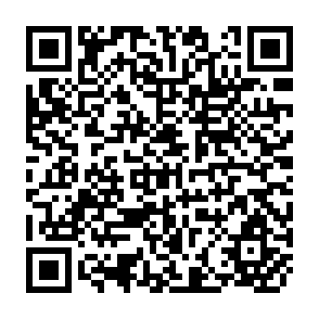 QR Code for Population and Development