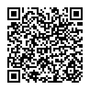 QR Code for The Population Dilemma