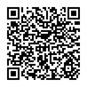 QR Code for A Plan for Action
