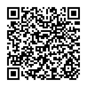 QR Code for The Case For the Welfare State