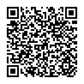 QR Code for Social Limits to Growth