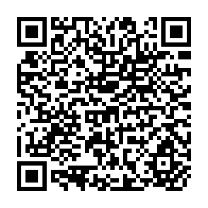 QR Code for Background Papers