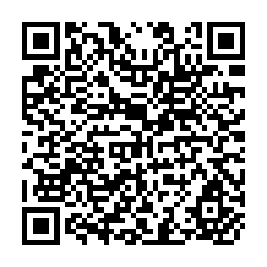 QR Code for Background Papers