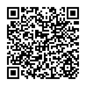 QR Code for Cultural and Social Anthropology